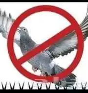 شركه تركيب اشواك طارد الحمام بالمنطقة الشرقية 12
