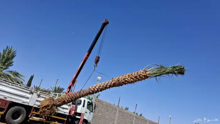 كرين ونش للاجار اليومي 2