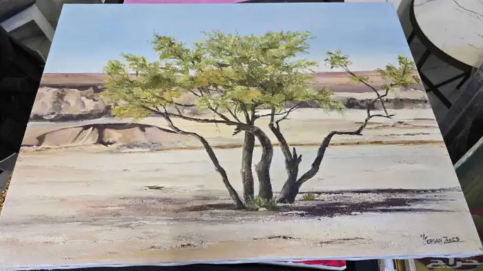 لوحات رسم فاخرة وعليها التواقيع 21