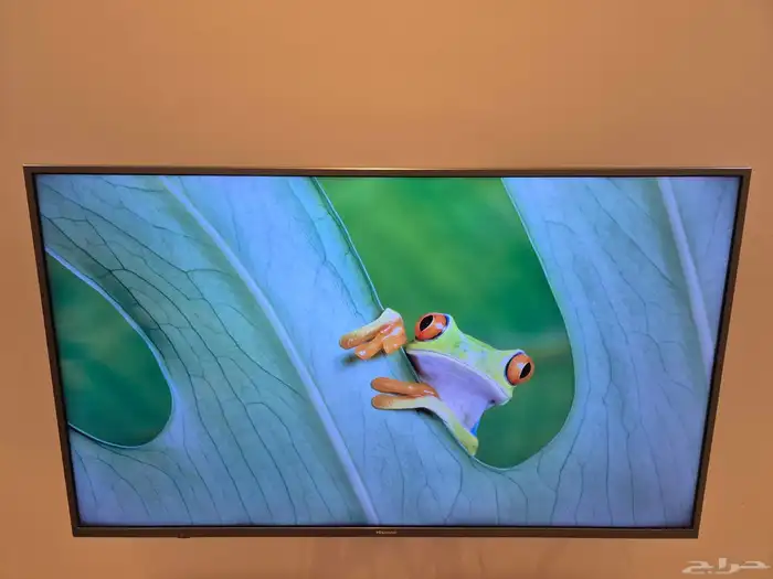 تلفزيون 50 بوصة هايسنس 7