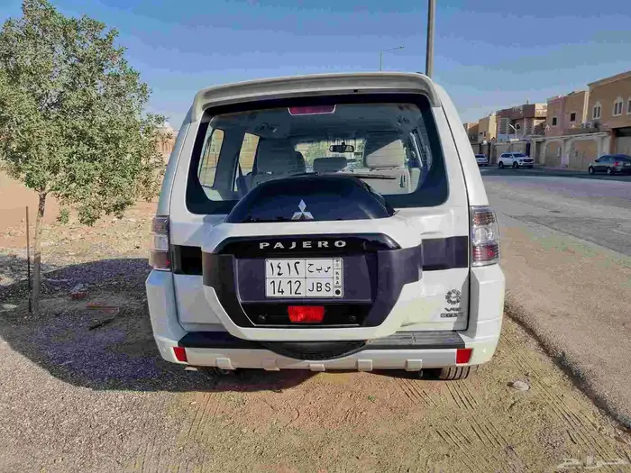 بيجاروا 2020 3
