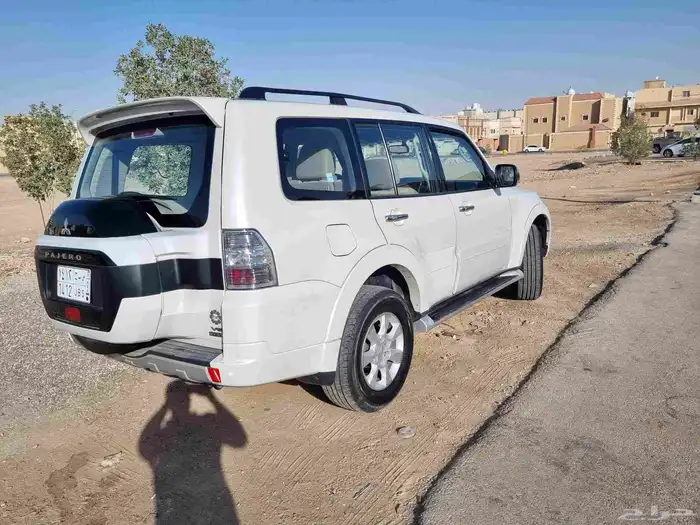 بيجاروا 2020 4