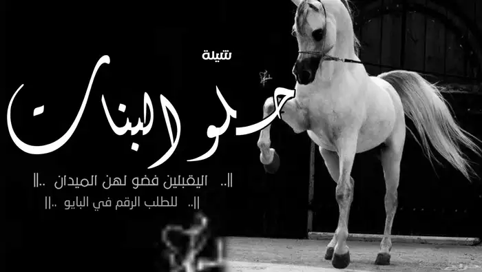 شيلات زواج عريسين شيلة عريس  شيلة عروس  شيلة ملكه عروس  شيل 2