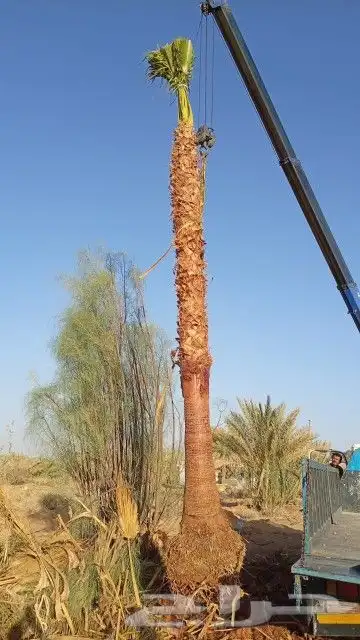 بناء جميع انواع البناء الترثي بلاحجار والطين 7