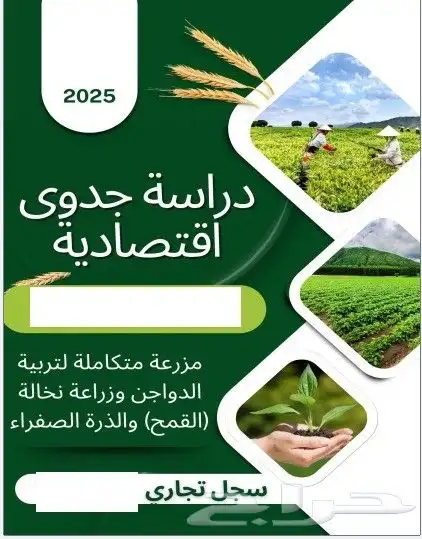 دراسة الجدوي تضمن الاستثمار الصحيح 0