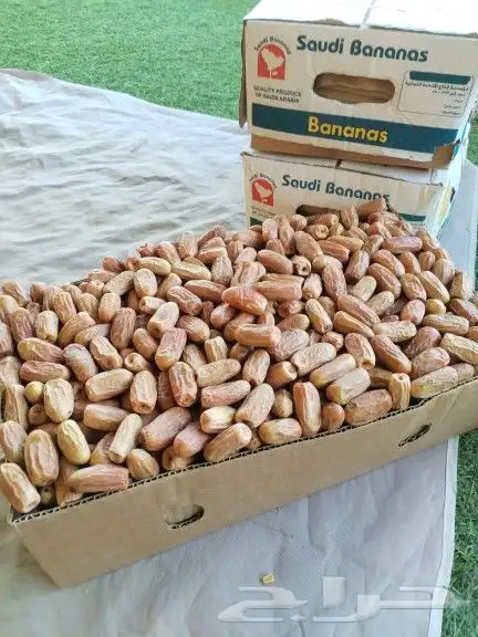 تمر يابس 0