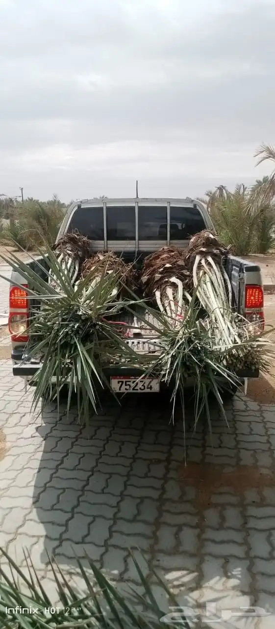 القوعيه الحبه انخل الجله تبرك ضرام جو المزحميه الرياض الخرج 9