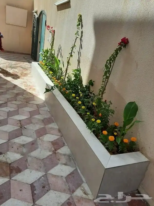 احواض زراعيه احواض طبيعي وصناعي مع التايل نجيله طبيعيه وصناع 2