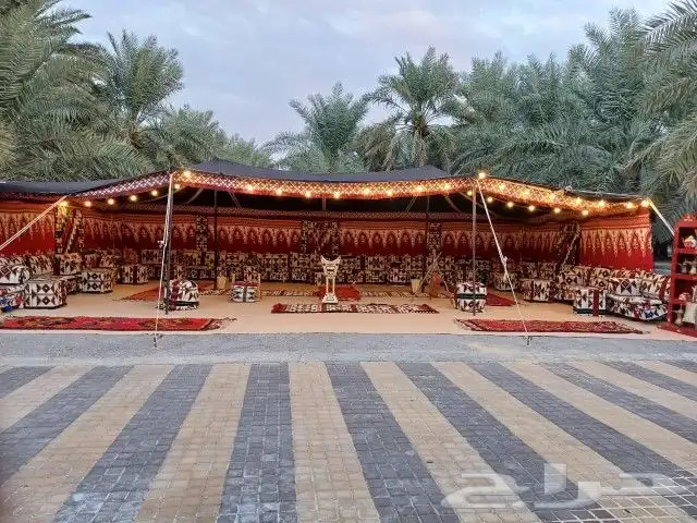 تاجير جلسات ارضية جلسات مرتفعة جلسة شعبية كنب 3