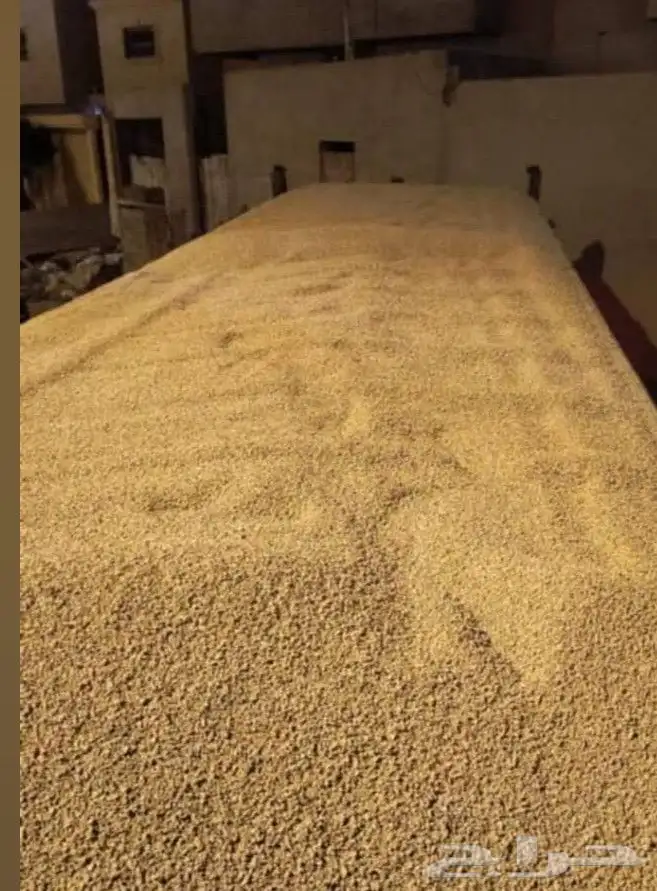 مبسط اعمار الرياض 22 3