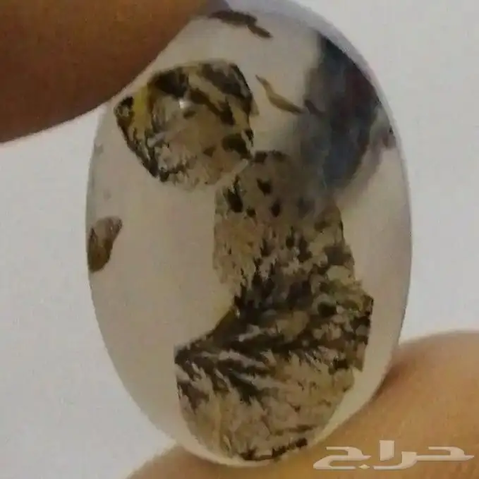 خاتم عقيق كرز الكرز 5