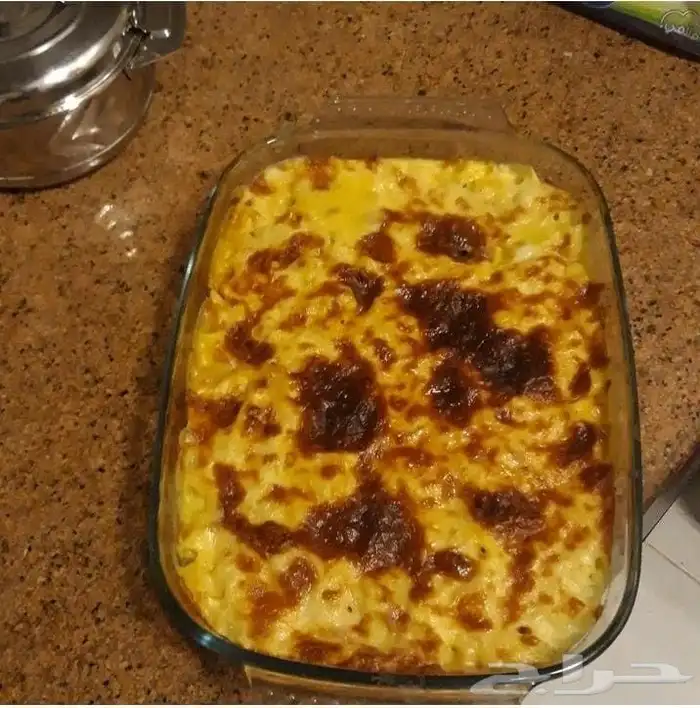 طباخ يبحث عن عمل 16