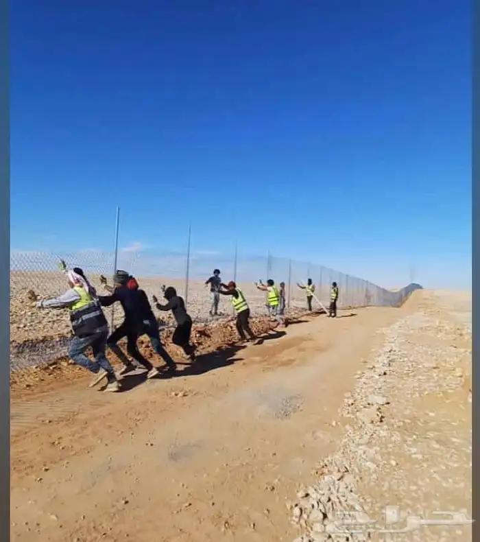 توريد وتركيب جميع أنواع الشبوك المجلفن والعادي 6