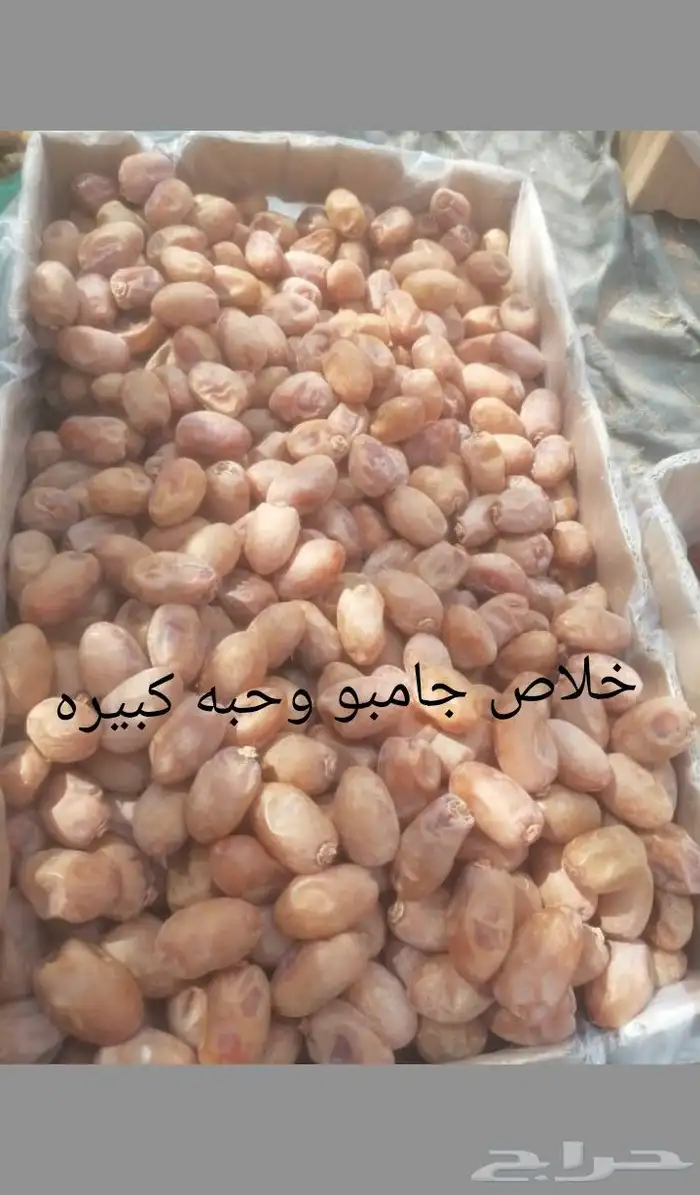 خلاص فاخر 0