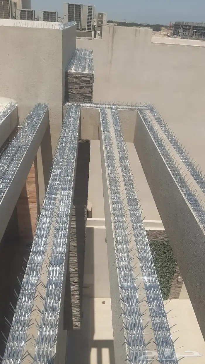 شركه تركيب اشواك طارد الحمام بالمنطقة الشرقية 0