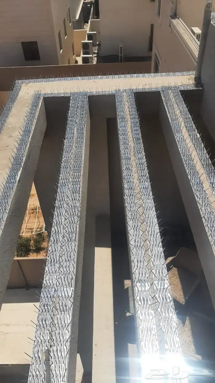 شركه تركيب اشواك طارد الحمام بالمنطقة الشرقية 2