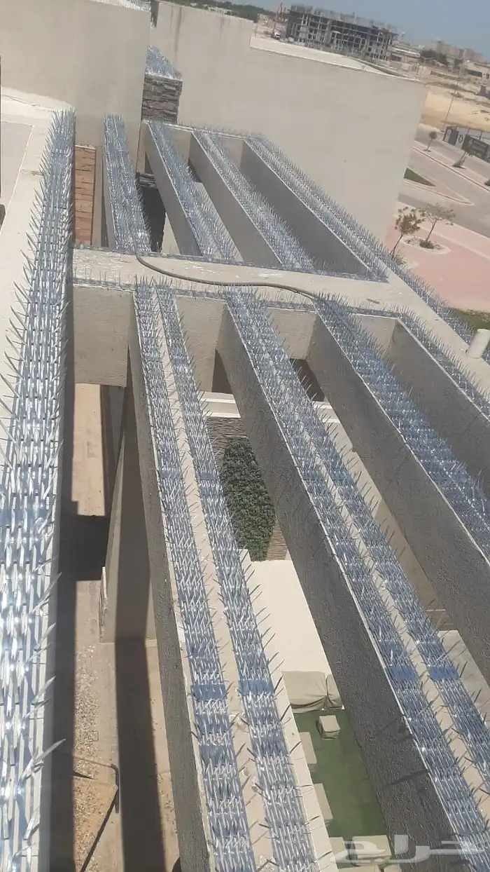 شركه تركيب اشواك طارد الحمام بالمنطقة الشرقية 1