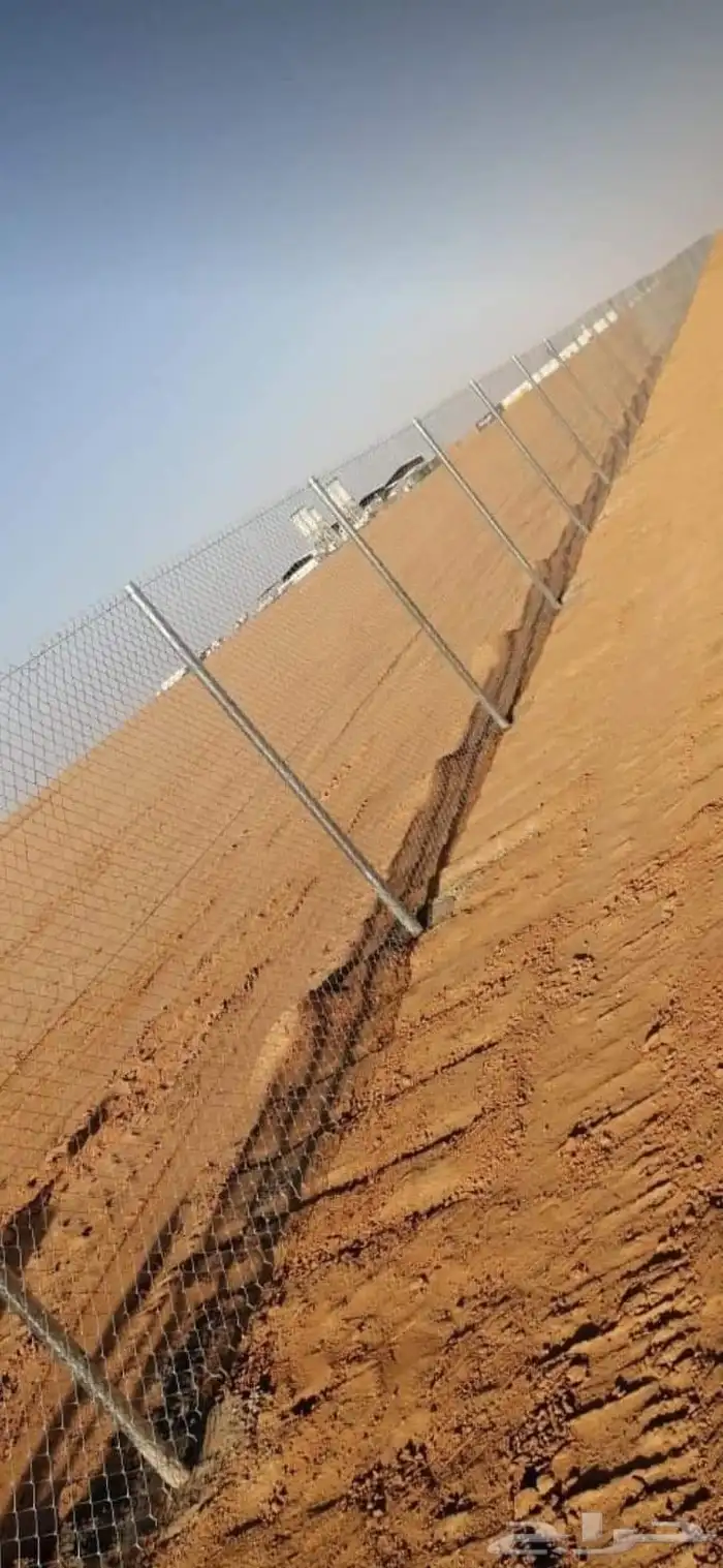 شبوك مزارع ونخيل وزيتون 3