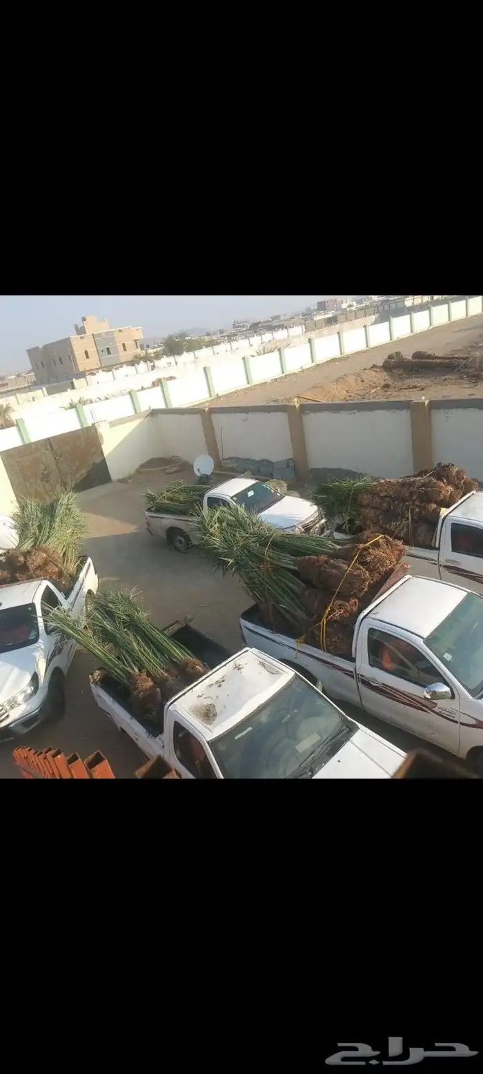 القوعيه الحبه انخل الجله تبرك ضرام جو المزحميه الرياض الخرج 0