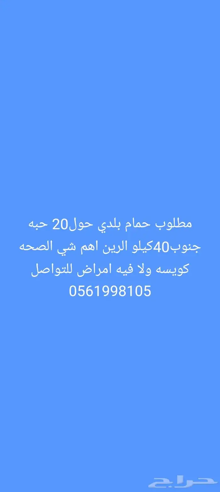 مطلوب حمام بلدي حول20 حبه 0