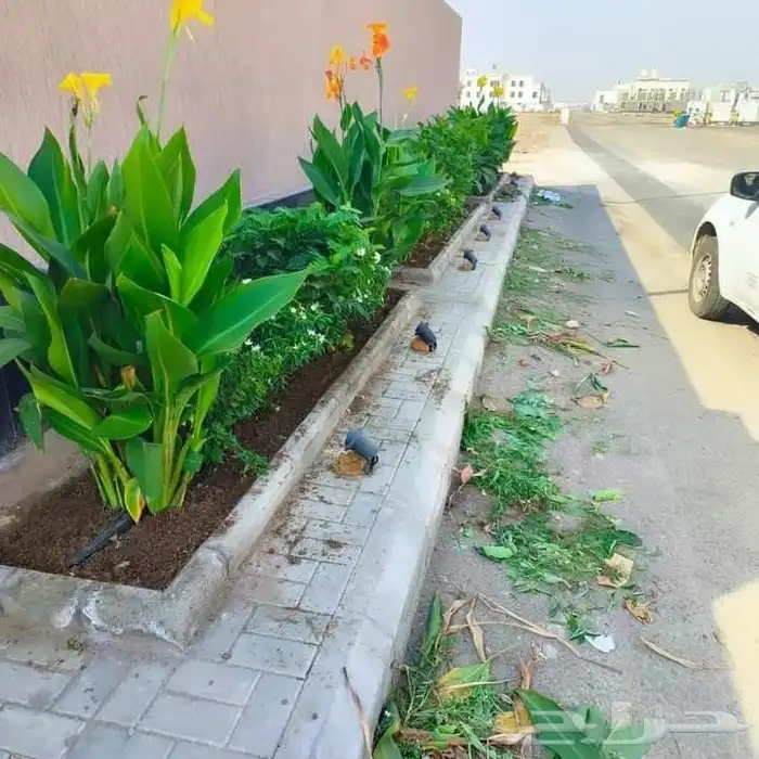 تنسيق حدائق جده 0