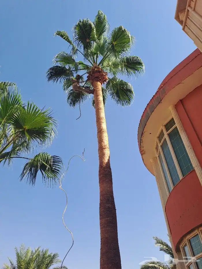 بناء جميع انواع البناء الترثي بلاحجار والطين 8