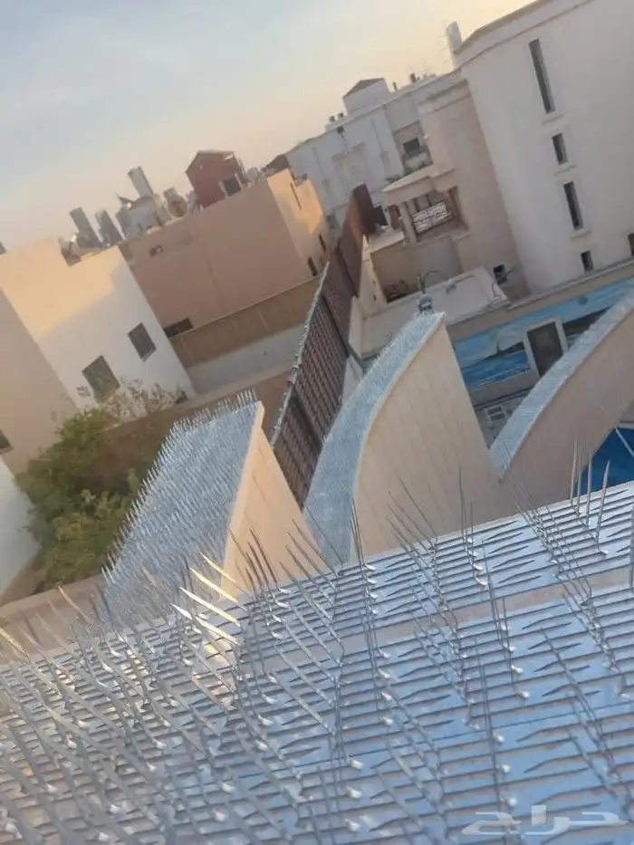 شركه تركيب اشواك طارد الحمام بالمنطقة الشرقية 6