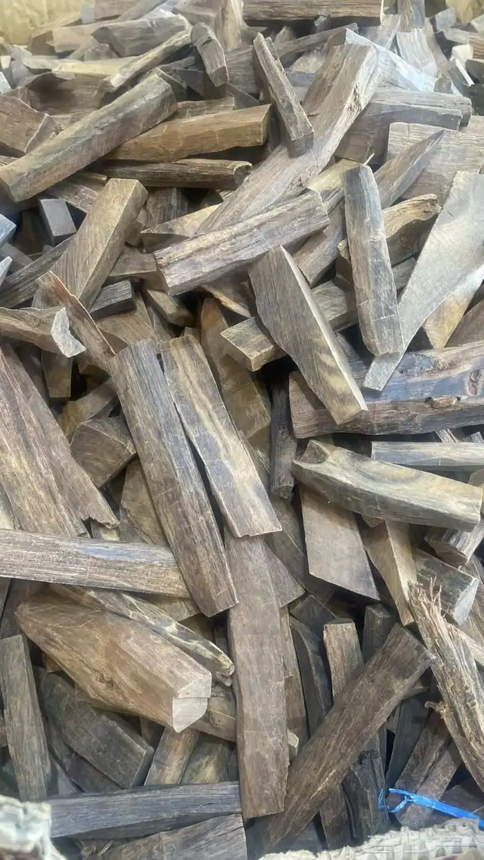 عود طبيعي (صندل )بسعر مغري 1