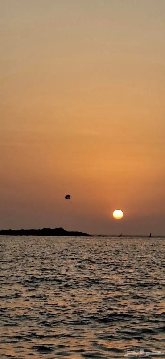 رحلة بحرية ولا أروع  نزهة جزر سباحة  صيد 0