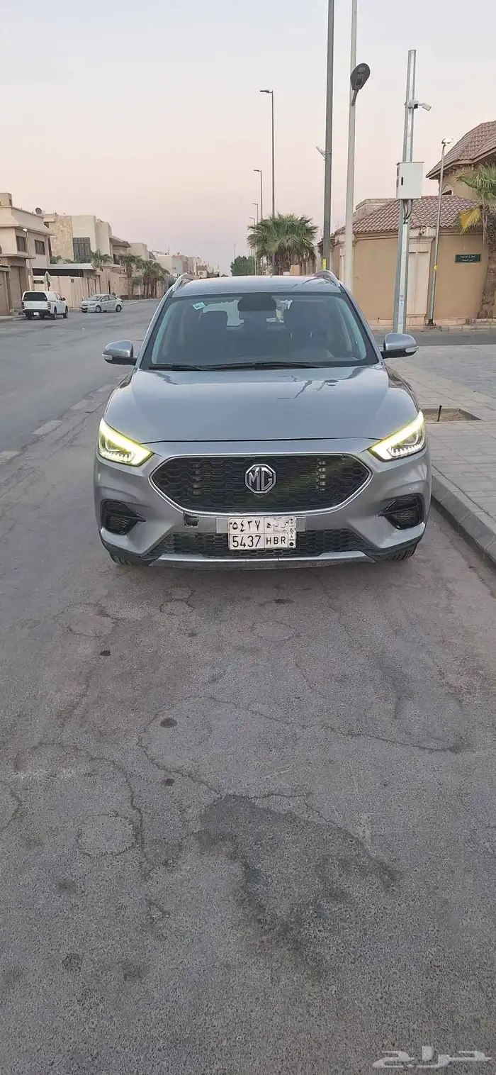 mg zs 0