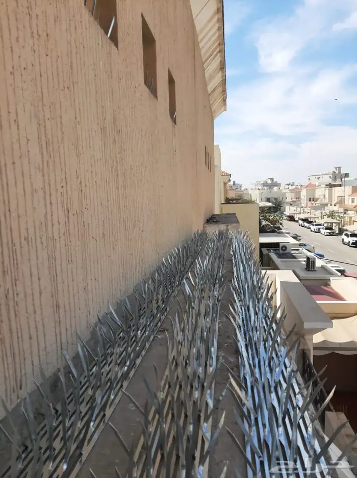 شركه تركيب اشواك طارد الحمام بالمنطقة الشرقية 13