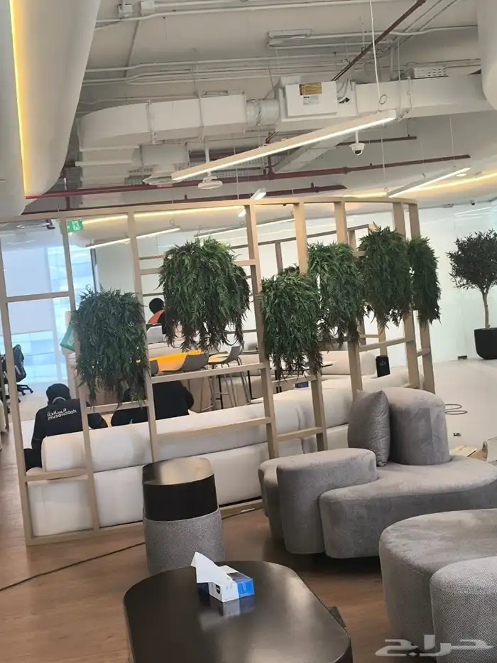 ديكورات جداري شجر اي م ان توصيل وتركيب 1