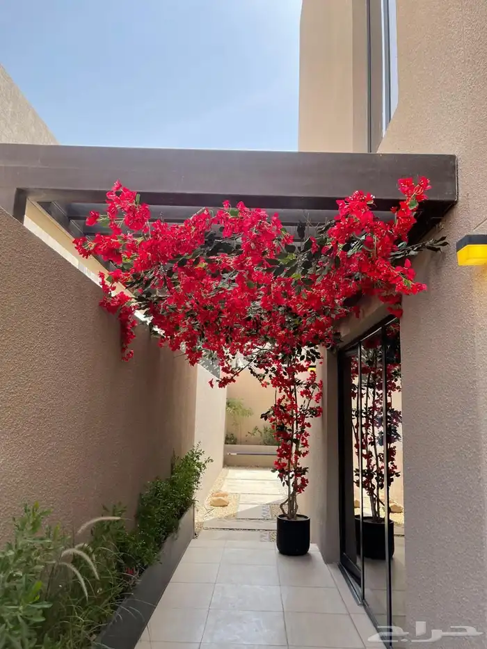 ديكورات جداري شجر اي م ان توصيل وتركيب 0