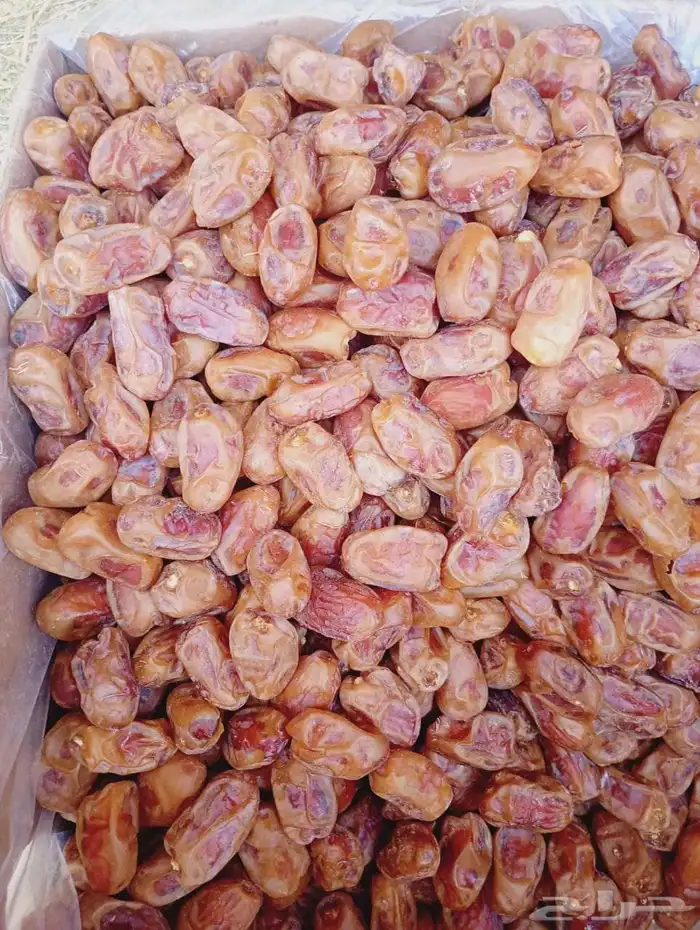 اخلاص طيب 1