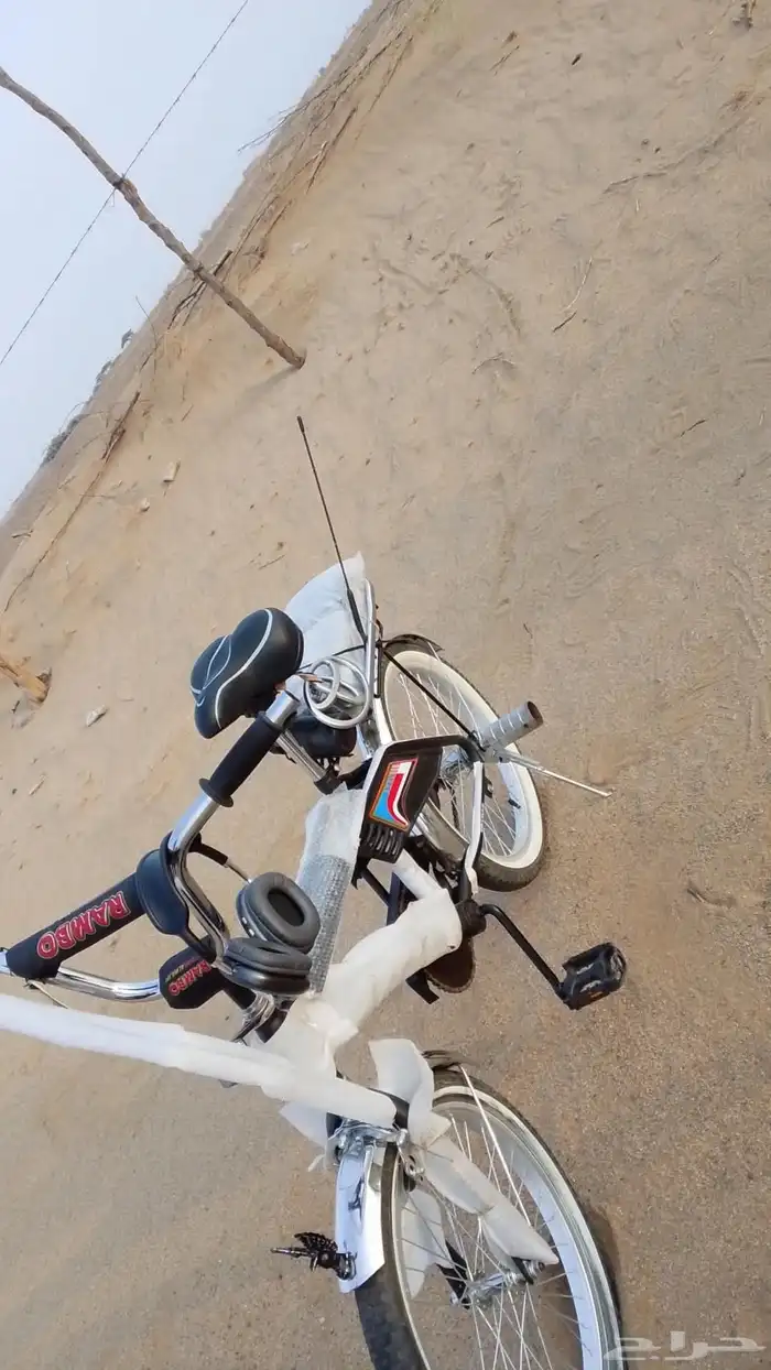 سيكل رامبه لون اسود مطفي مقاس 20 3