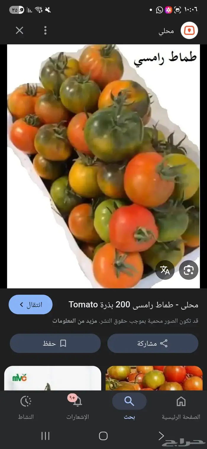 للبيع شتلات خضار 2