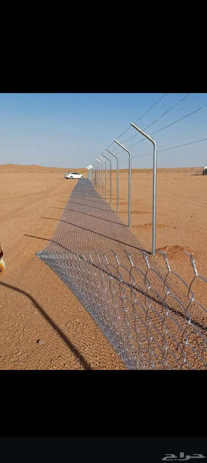 توريد جميع أنواع النخيل 0