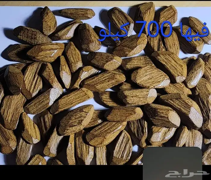 السلام الى يبغى عود بسعر جمله الجمله موجود في جده السعر 135 8