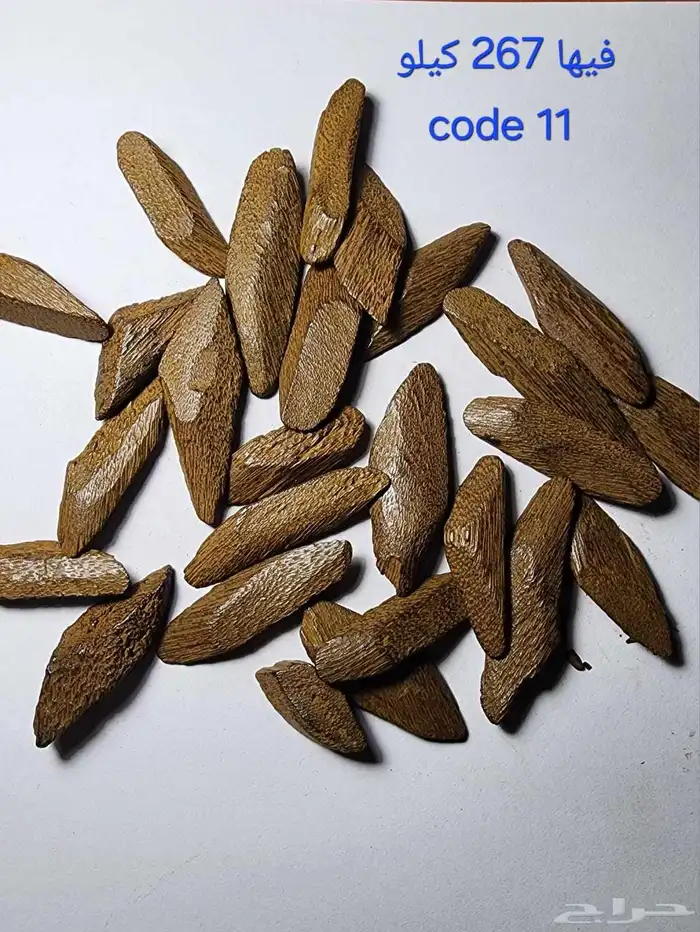 السلام الى يبغى عود بسعر جمله الجمله موجود في جده السعر 135 9