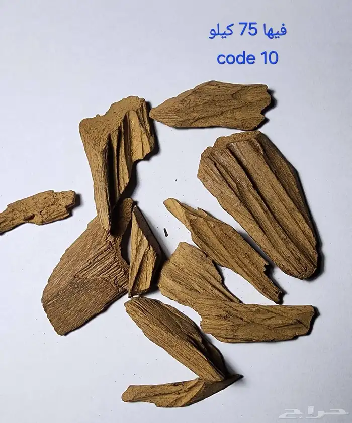 السلام الى يبغى عود بسعر جمله الجمله موجود في جده السعر 135 0