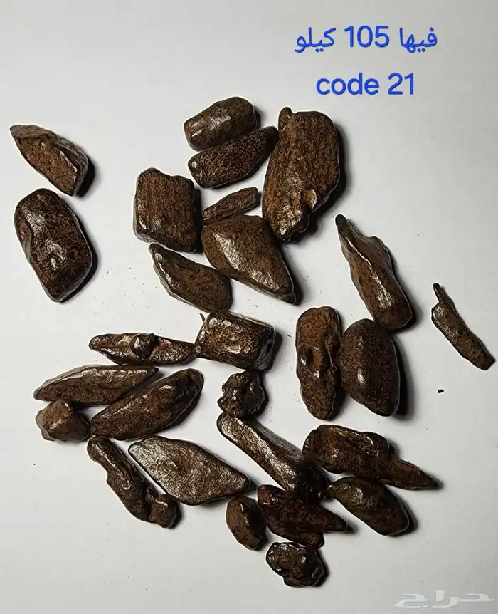 السلام الى يبغى عود بسعر جمله الجمله موجود في جده السعر 135 2