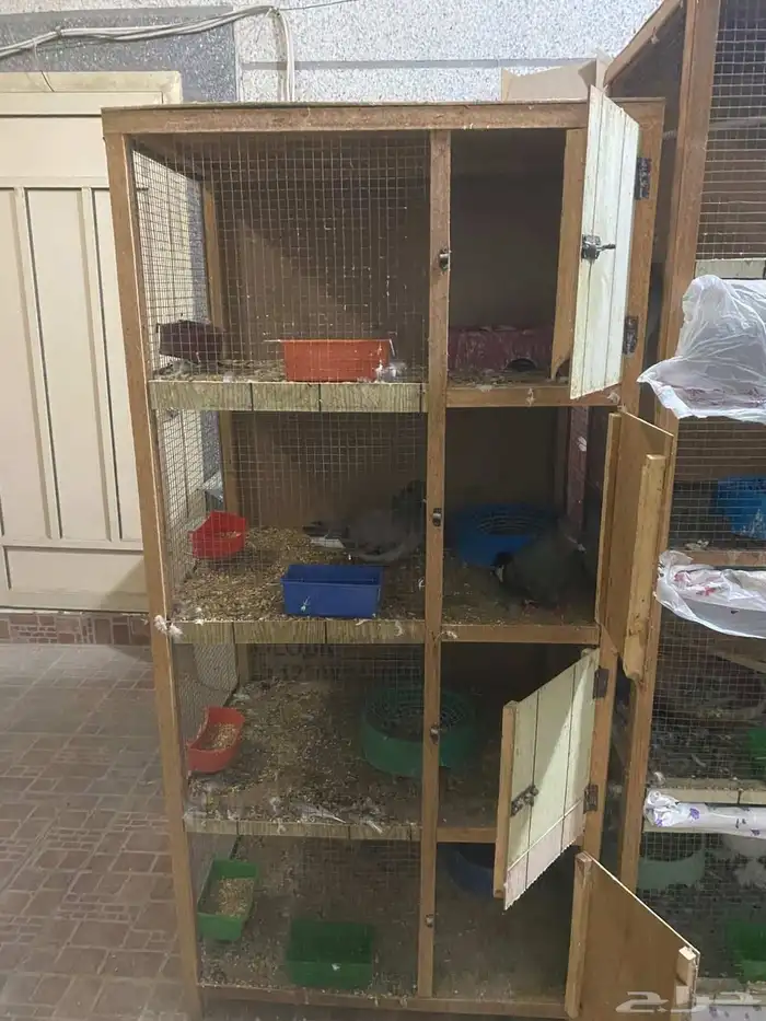 قفصين لطيور او الدجاج (مطيرة)فقط120ريال 4