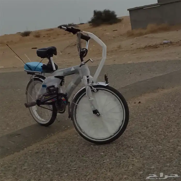 سيكل رامبه لون اسود مطفي مقاس 20 1