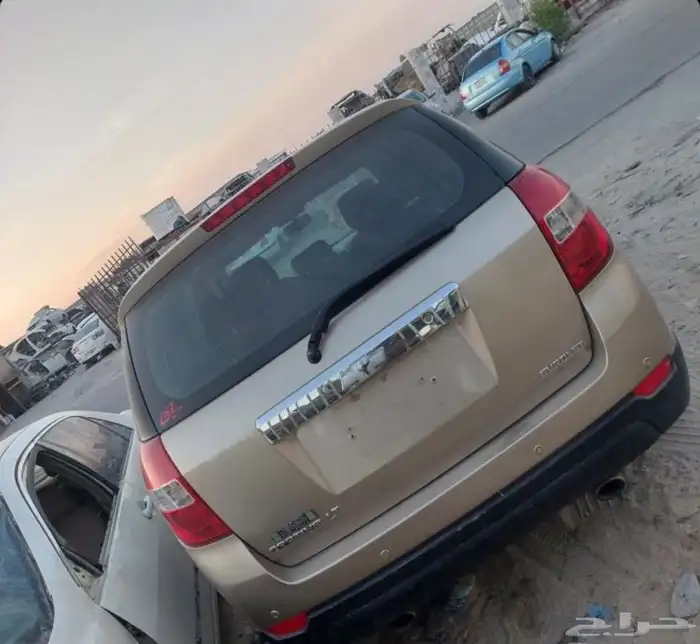 كبتيفا 1