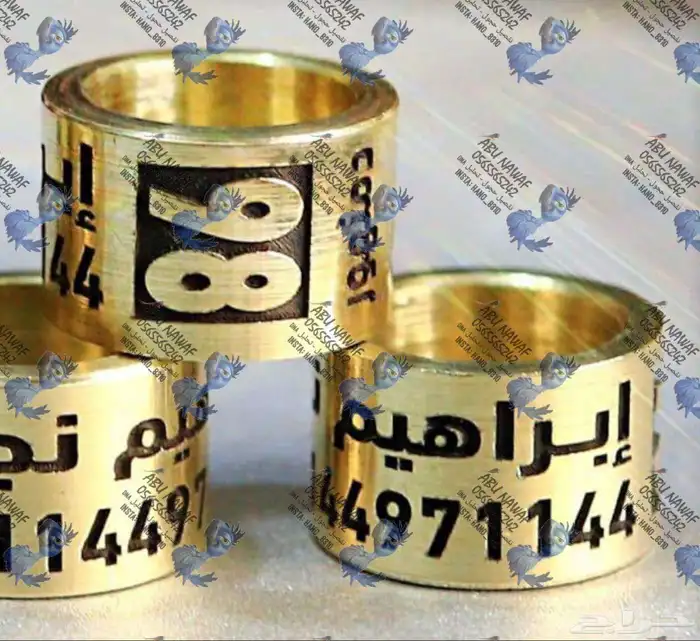 حجول اساور فتخه دبل فتخات حجل للطيور 7