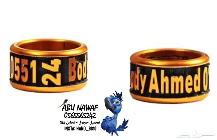 حجول اساور فتخه دبل فتخات حجل للطيور 9