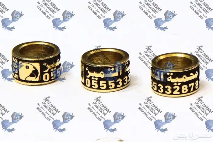 حجول اساور فتخه دبل فتخات حجل للطيور 20