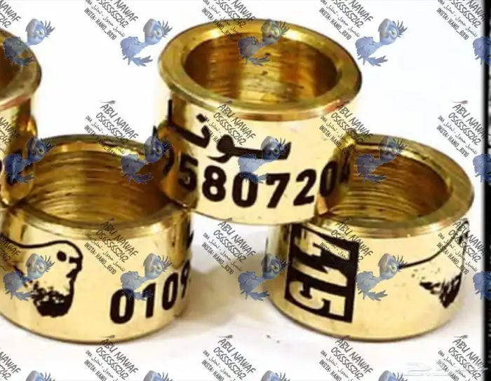 حجول اساور فتخه دبل فتخات حجل للطيور 0