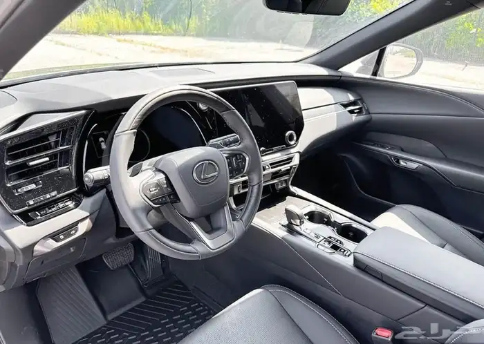 2025 Lexus RX 350 5