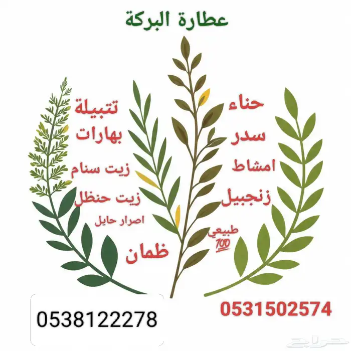 سدر وحناء وزيت سنام 1